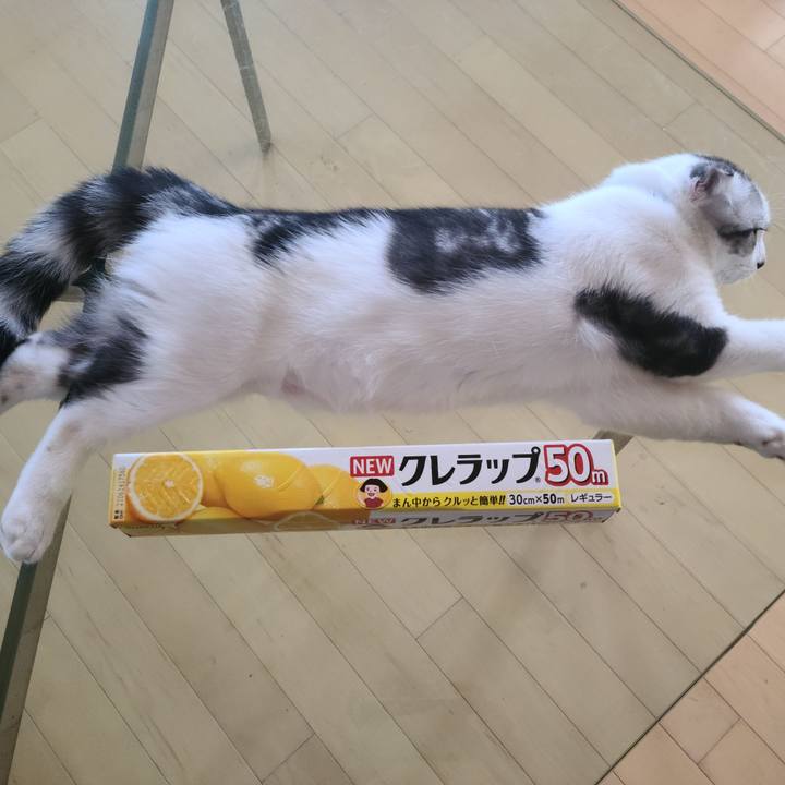 B3db4c56 14ef 4877 a00b 3e0688017711 1632530342640