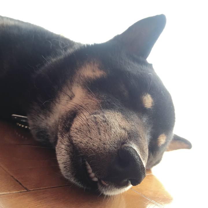 B3db4fb7 89f2 4192 91f2 d31a96adb285 1552828945875