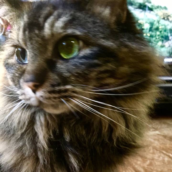 B3db5e57 8ded 432c a362 9eb40ec881e9 1544742498198