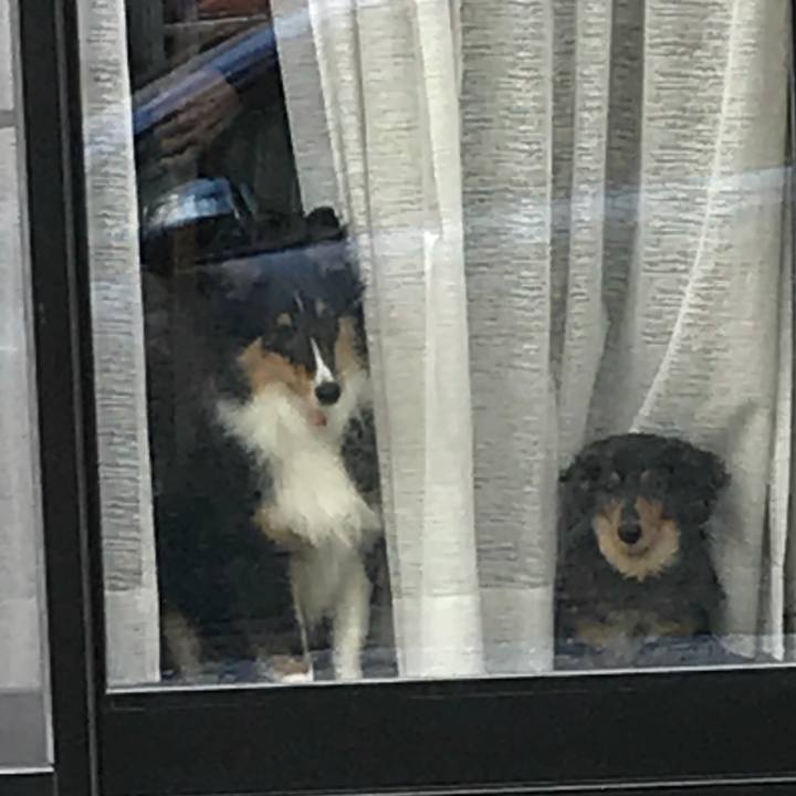 B3db5fb4 ab94 4889 b025 efe12e23b4c7 1521330369743