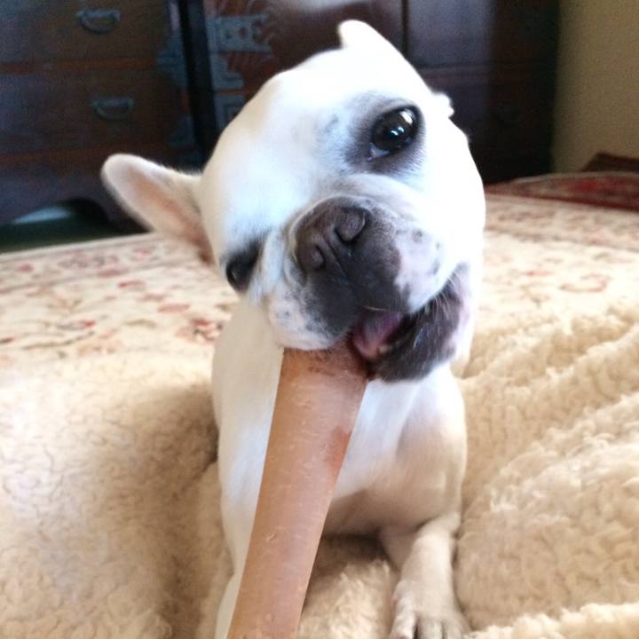 B3db7388 310e 43db 8c88 f0d111e9a2f0 1514299218483