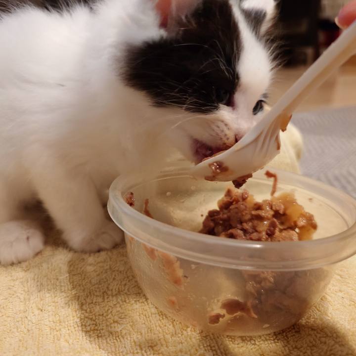 B3db8eb6 725e 40bf 9abb ff2b479e70fd 1757852062440