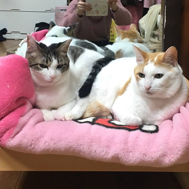 B3dbc402 1a27 46fd 928c 1a50bbdf74b6 1551610586926