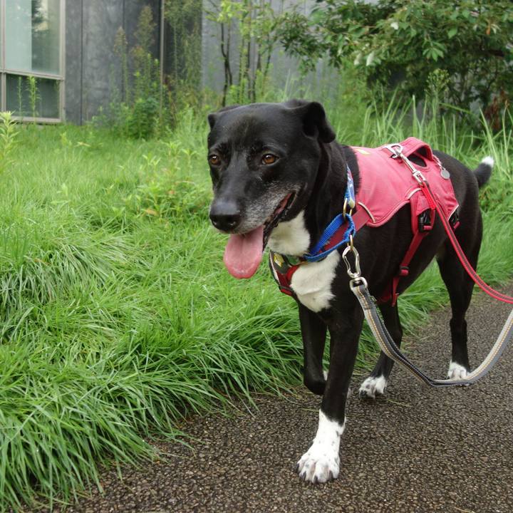 B3dbde99 aaa9 41a2 a344 80404c153e4a 1692748621427