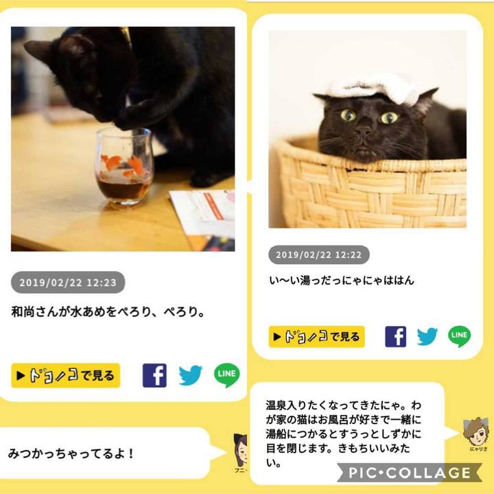 B3dc284d a4f6 409c a31d 153fbdab6da3 1551311195955