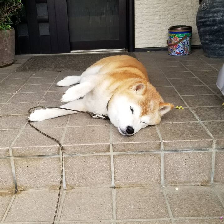 B3dc293b 37ea 414a aacc 11a7917afd4c 1694736123995