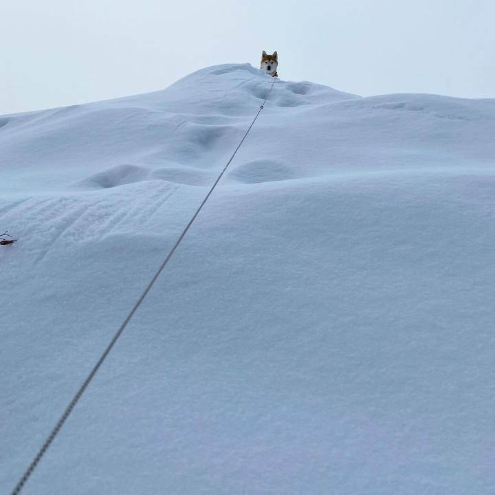 B3dc5714 2412 401d b96b 0577fafd35b2 1645065495964