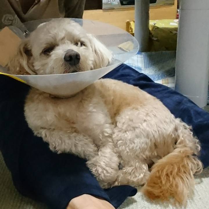 B3dc7661 126a 4787 81b6 8bb4ac2af77a 1591275483241