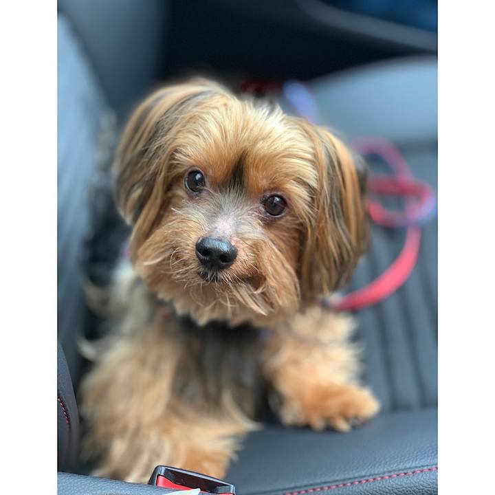 B3dc9ee9 090d 41ee 9f07 89e5d087adb9 1563281169734