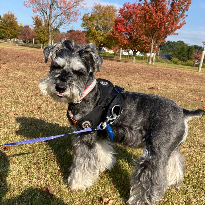 B3dc9f31 1f33 47ba 972c 3607e41cf39d 1731564026387