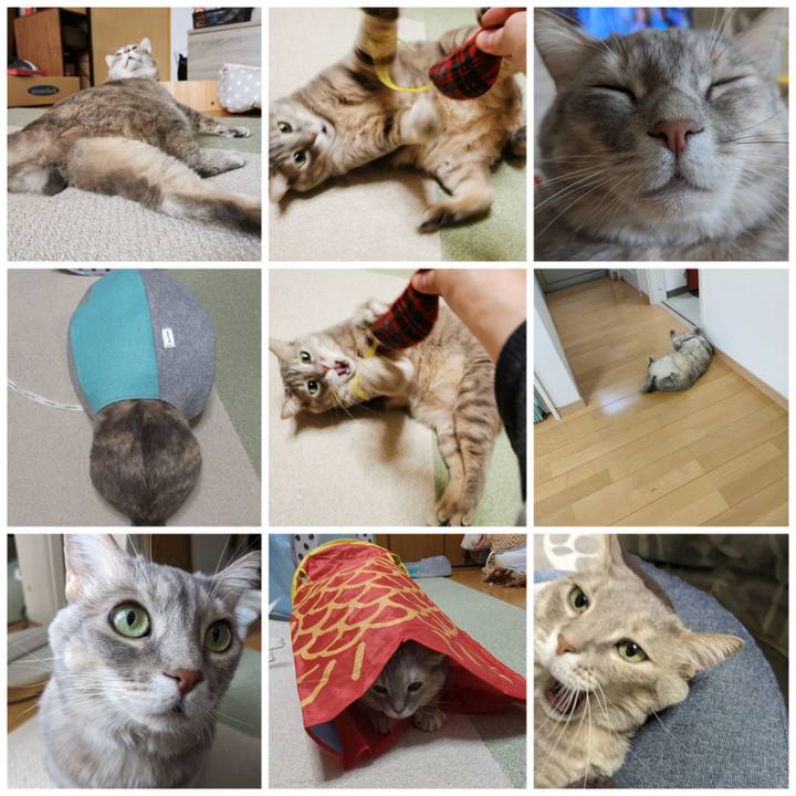 B3dca89f 9ea1 44d3 b3f3 7471cfbab693 1677558087420