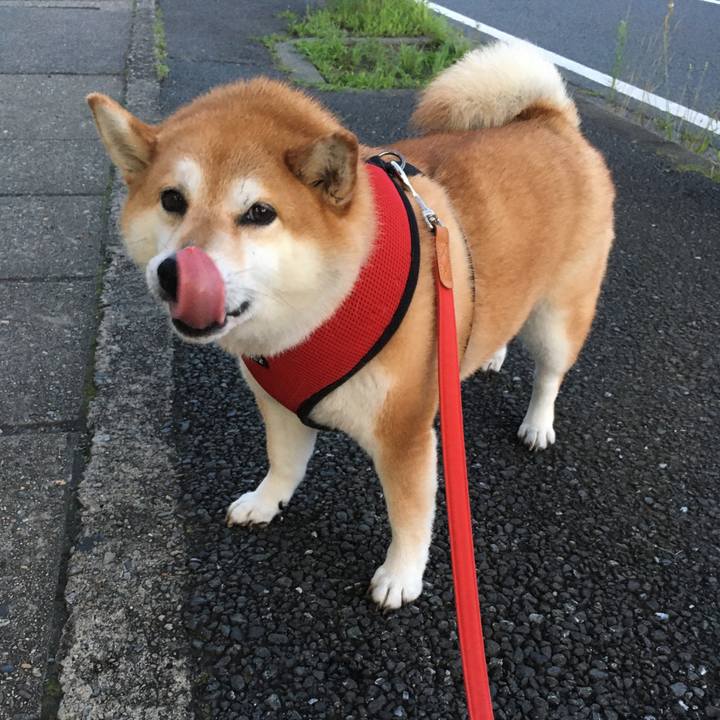 B3dcac7b 42c1 418a ae5c 8efafd3269f1 1595155475221