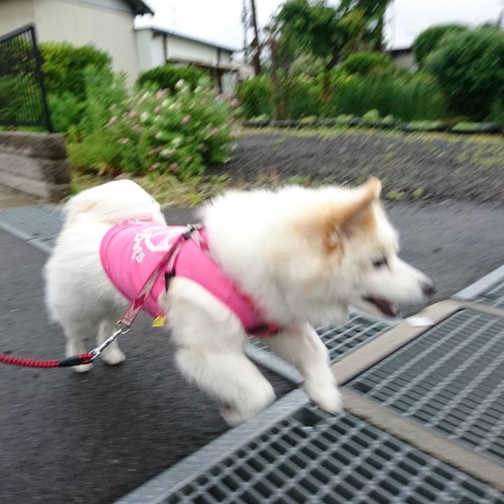 B3dcca9f 2cd1 4160 b8e5 d136f9fecf86 1528664619062