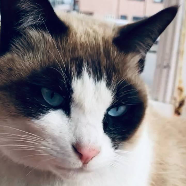 B3dcd112 eb73 4692 b7c4 34f598123416 1739670064074