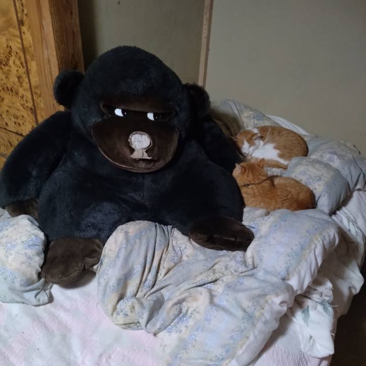 B3dcdaac 8e5b 46db 825b b011bc77a2f1 1760959258250