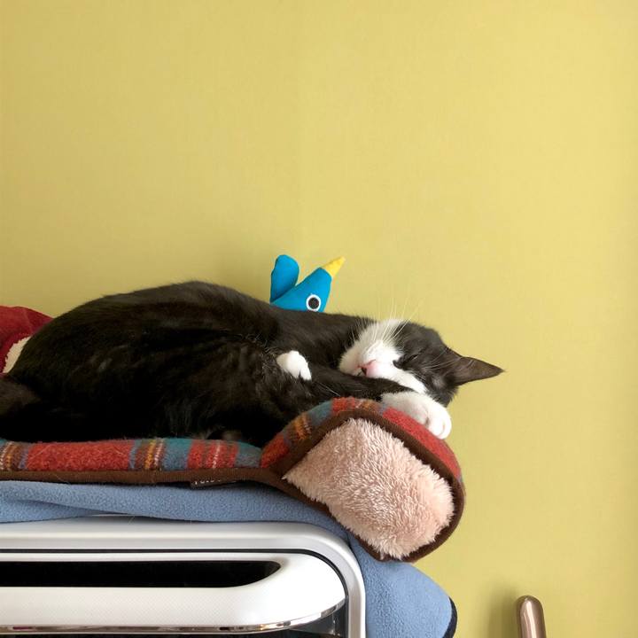 B3dcdd91 7b78 4807 bf69 de3f29e19e34 1586828257668