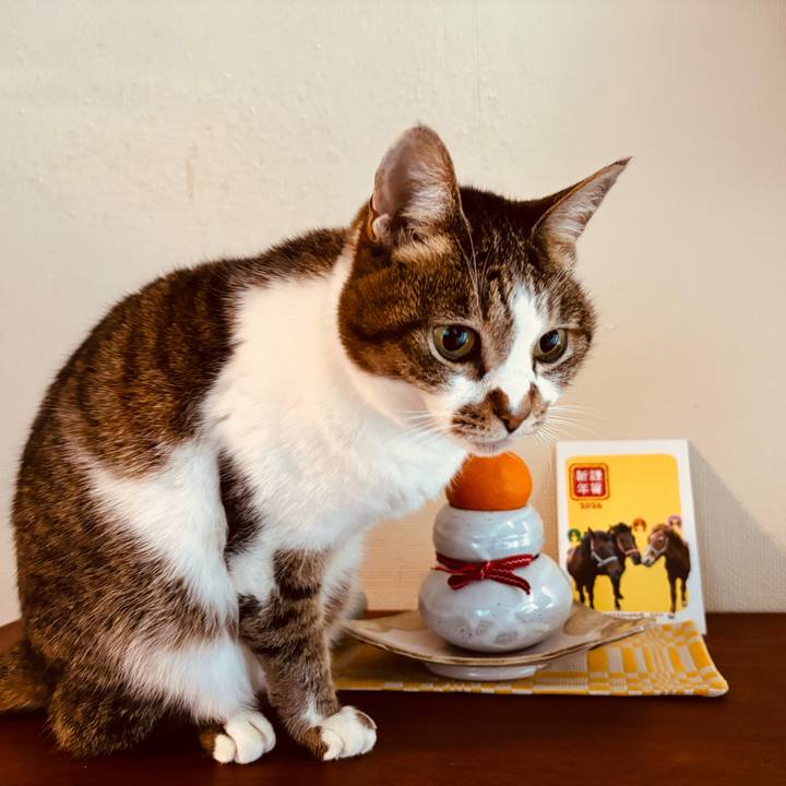 B3dd02b7 2f74 41d1 b877 44c1993a73e7 1767407268885