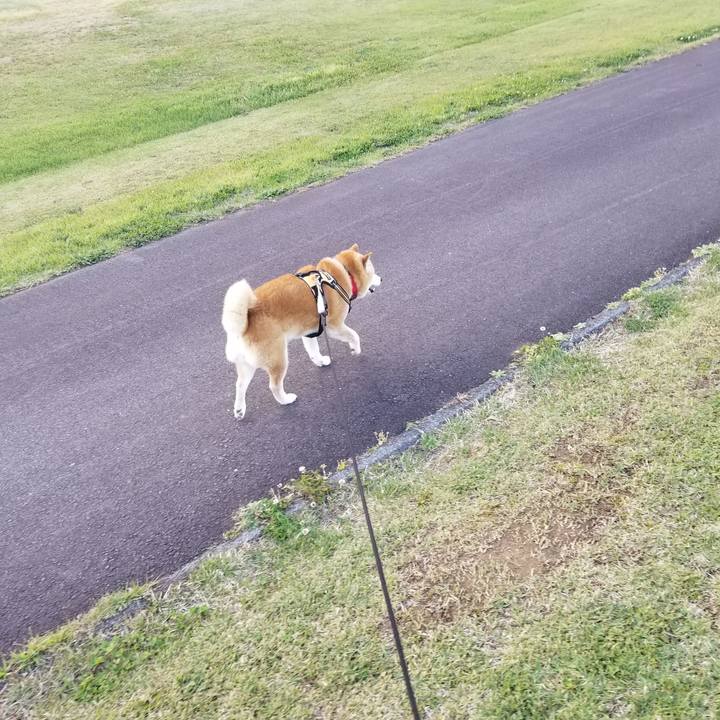 B3dd1781 a03d 4556 9256 3cc1ed2c524d 1716621950910