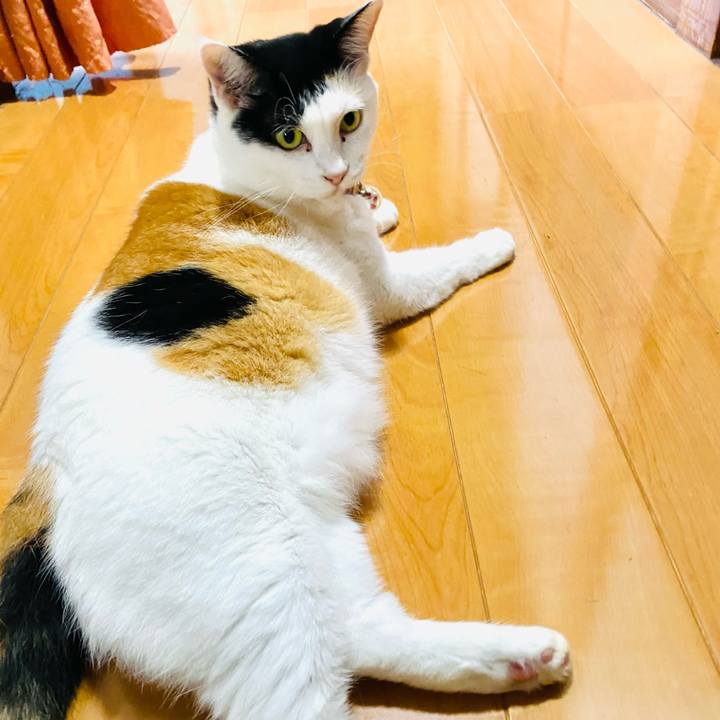 B3dd190e 7555 423f a29e 85de69ee1550 1726399517112