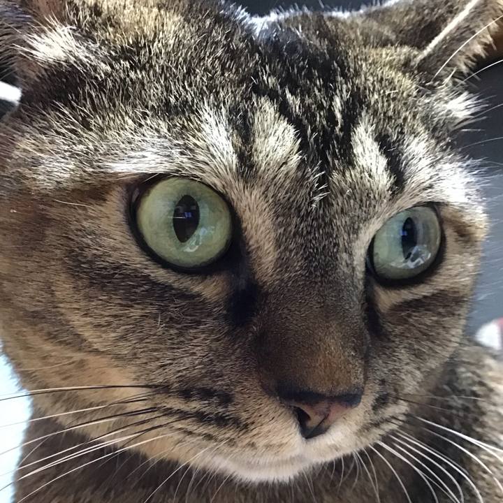 B3dd6a41 41ae 49b5 b5a4 e493752148e7 1702641251575