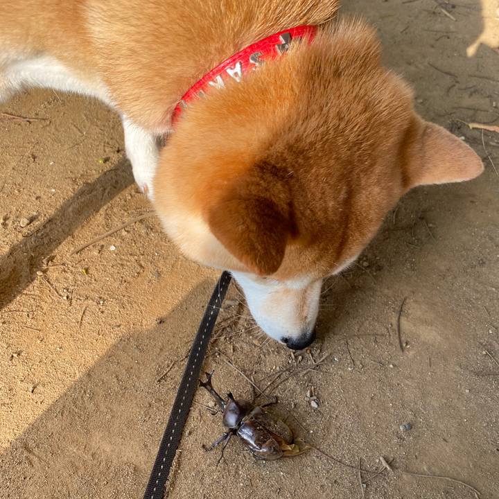 B3dd6cef 6c78 4ee2 a3ab 0c9350d03769 1596666416003