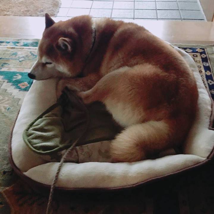 B3dd7492 2562 40d5 8442 fe2b8beff8b4 1530257355896