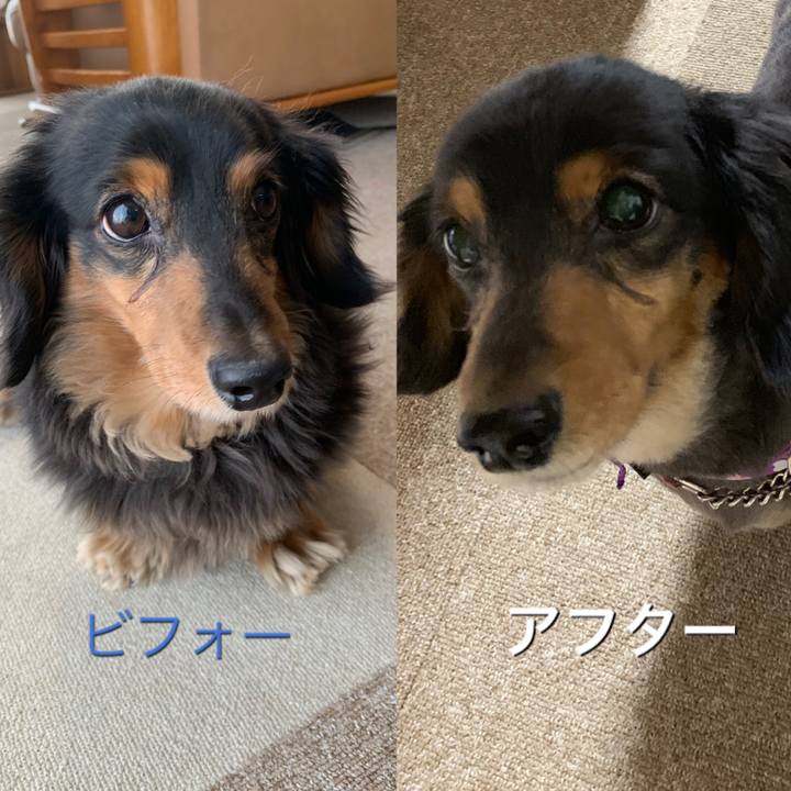 B3dd7f55 797b 47b1 a565 60bbbf3e412c 1551649314830