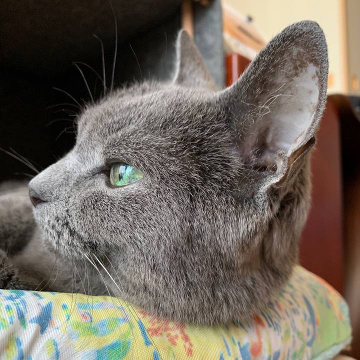 B3dd87e4 c594 4d01 943a d72a5e5896bb 1630020282115