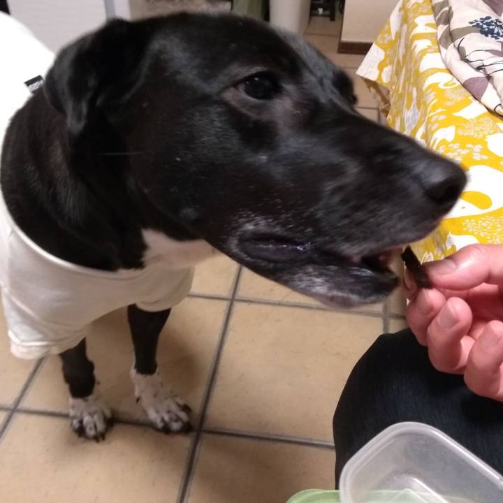 B3dd8ba7 32e2 4ebf a2dd 476dd8142d73 1618658271958