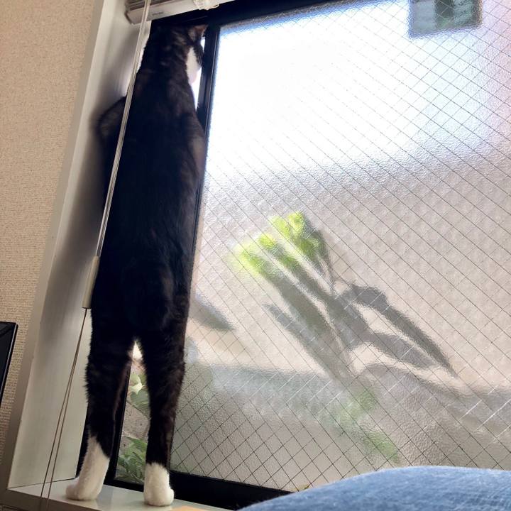 B3ddc813 9cd2 4ed7 9ee9 b65128ef8097 1548310048978