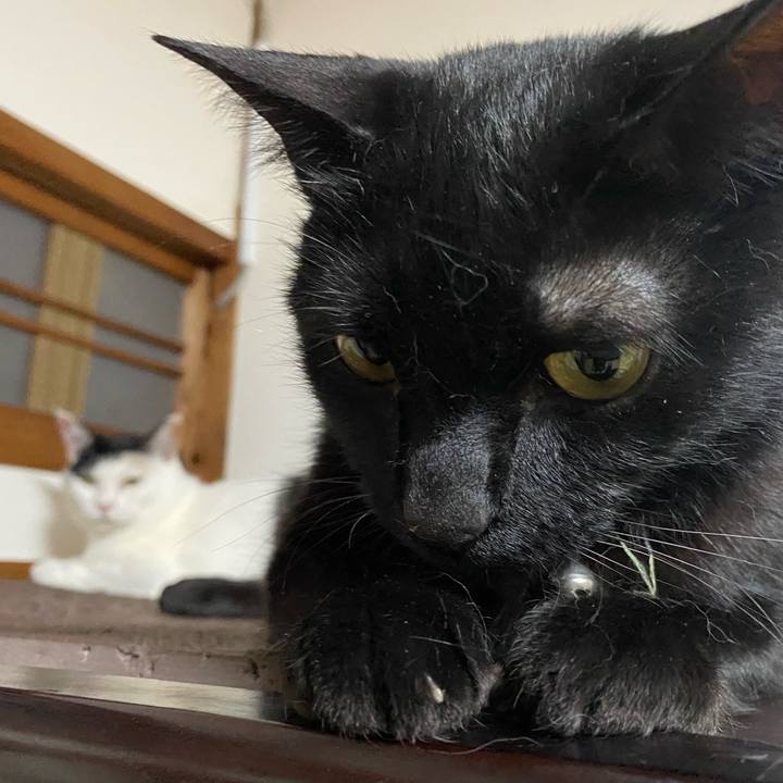 B3de2221 5170 453c bdf5 4ecbe614e48a 1718373319353