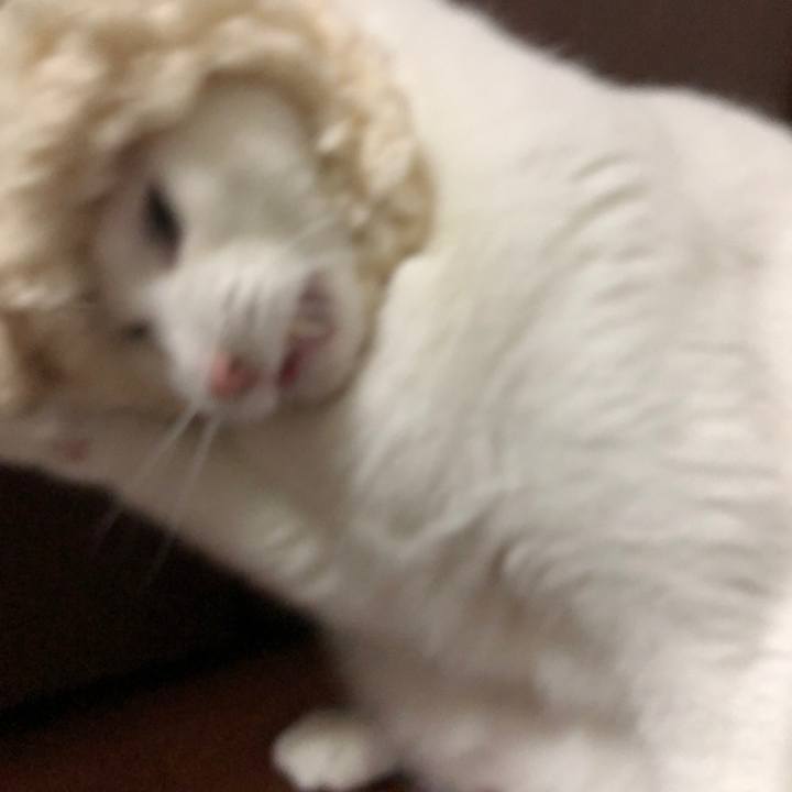 B3de5909 c631 4c43 840c c52997b898b8 1516618396689