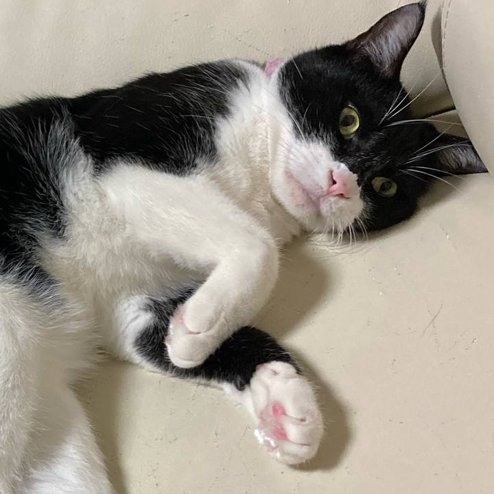 B3de714f e03d 4613 829b d97341644198 1662305108409