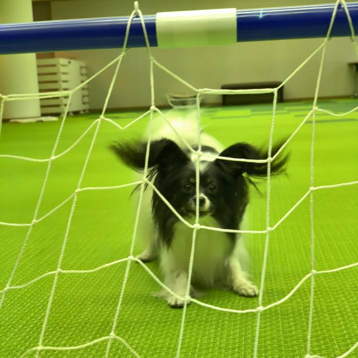 B3deb950 1108 4f11 9f42 7cc3b421bdd6 1544947046524