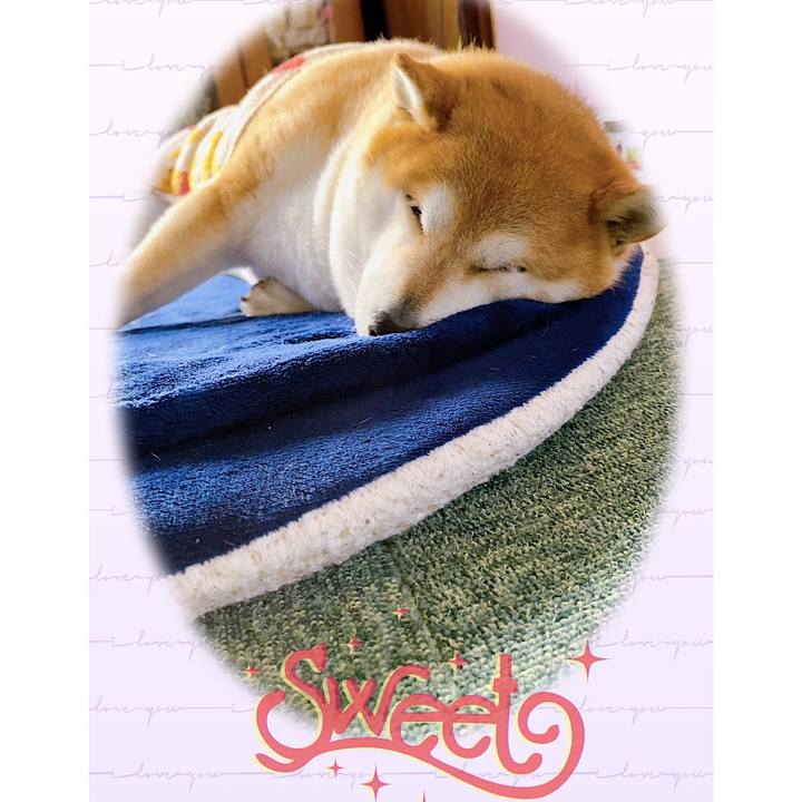 B3dec2e5 7411 4836 b472 07e05b66d0a4 1681773932911