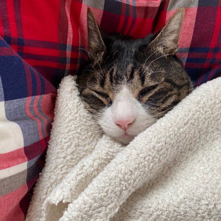 B3decb35 03d8 40ad ba53 5ef96792b497 1643071746465