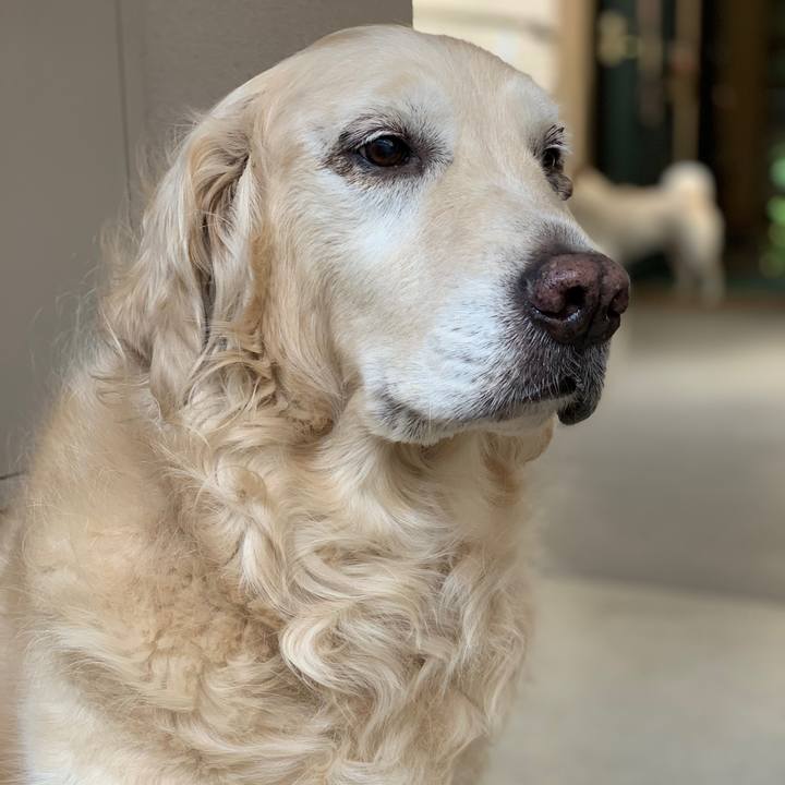 B3df2cd1 888a 40a2 b1f9 b74d7de194eb 1620558387355