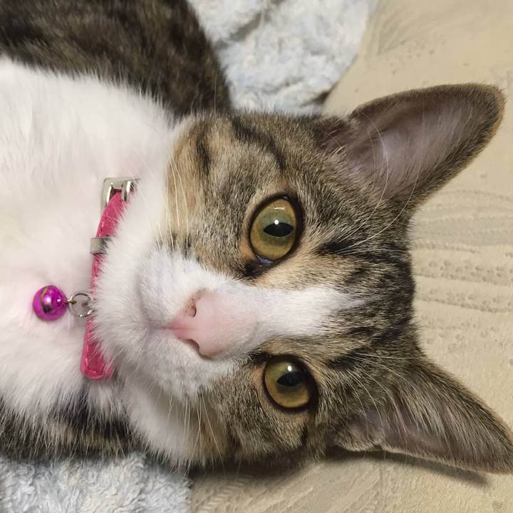 B3df2e15 2ed4 4215 be86 52ba677933c9 1660175269998