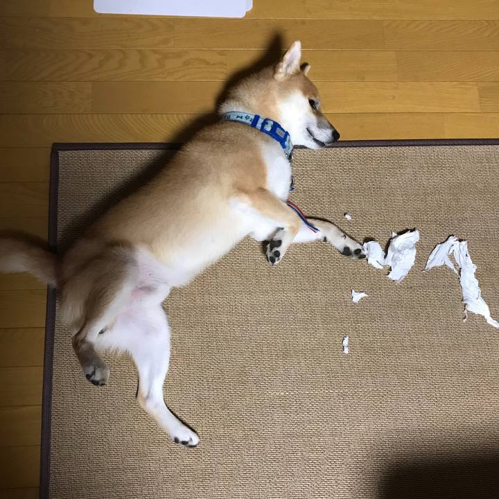 B3df3fc6 8003 4406 b2b0 6334f5bfd17a 1599735891701