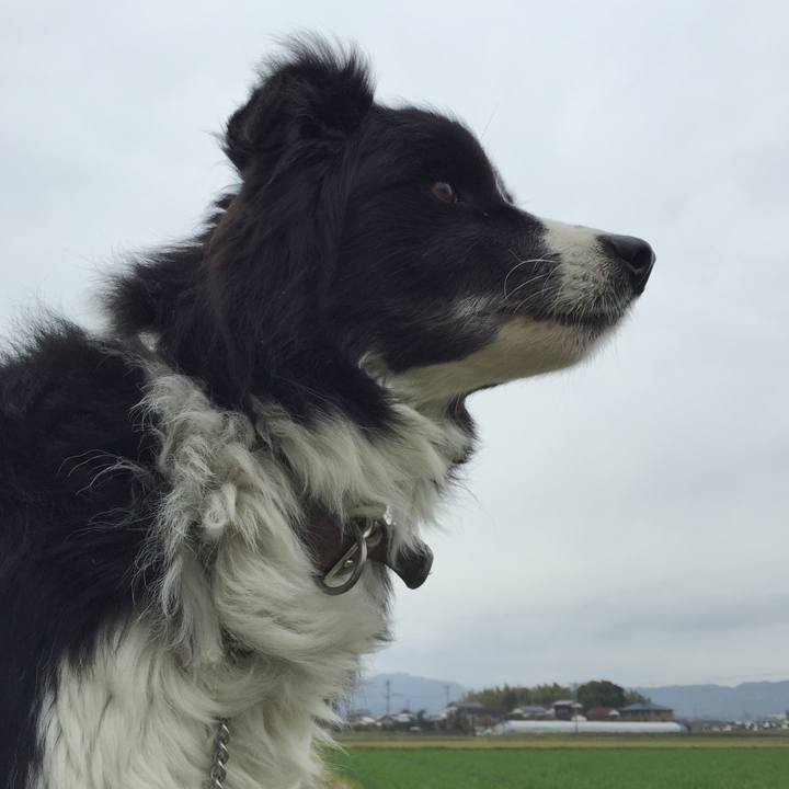 B3df4b65 0a7f 41de 871c bd838f32318b 1549585985590