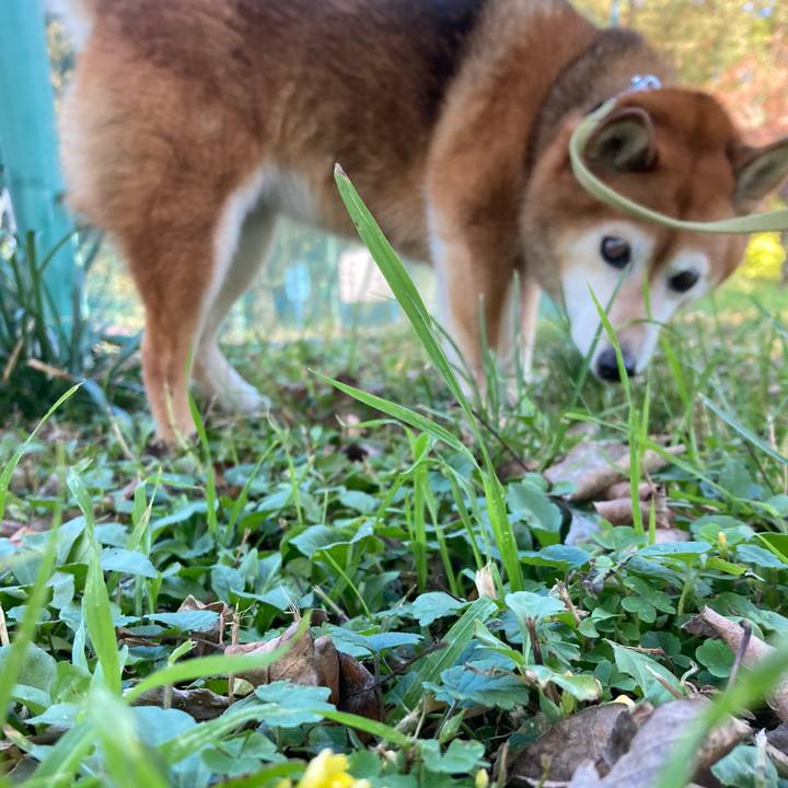 B3df4d66 acff 4845 840b 5a5728ca2169 1668754627891