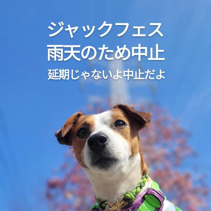 B3df687d c0e2 425b a60d e03e750fdf1a 1678965290895