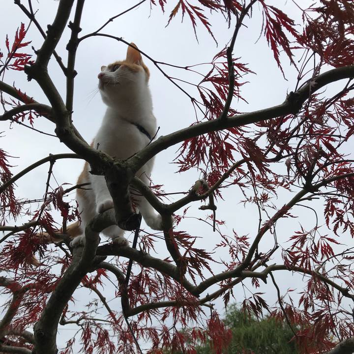 B3df8dbd db52 4d03 b7f2 5e8b68eca07d 1509758474546