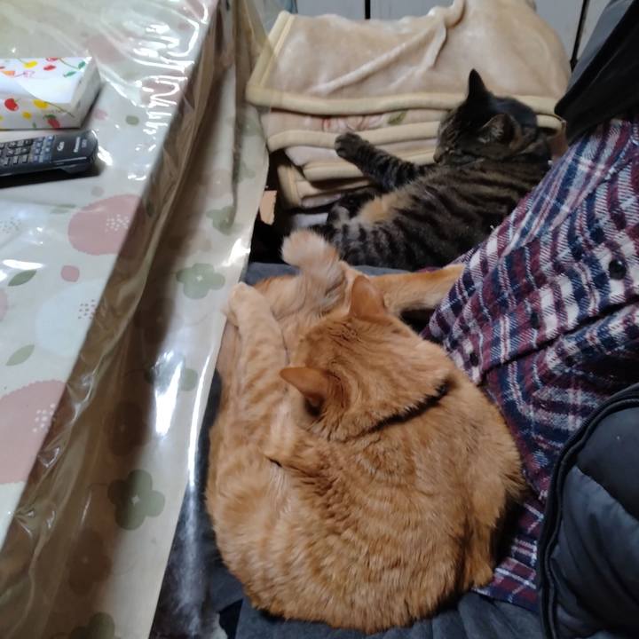 B3dfb098 62e7 4e2e 9497 d5bb0fef15de 1671354618576