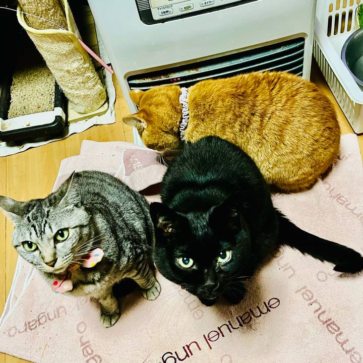 B3dfe635 8318 422f 8a60 1827a078ed76 1770016713392