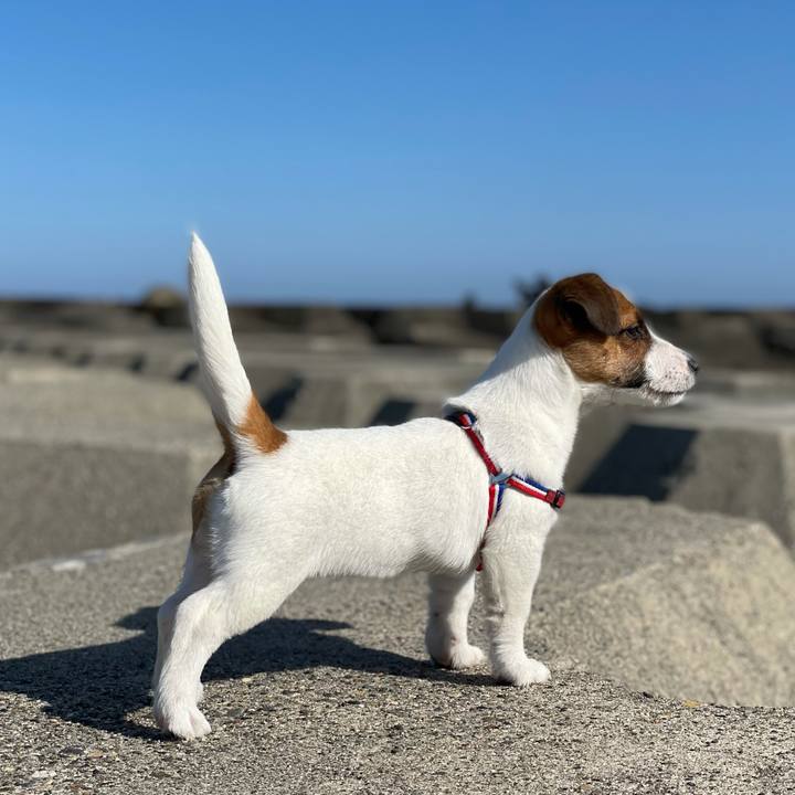 B3dfeb47 15a4 4e1b 9fad 73b9d59530fa 1618102214088