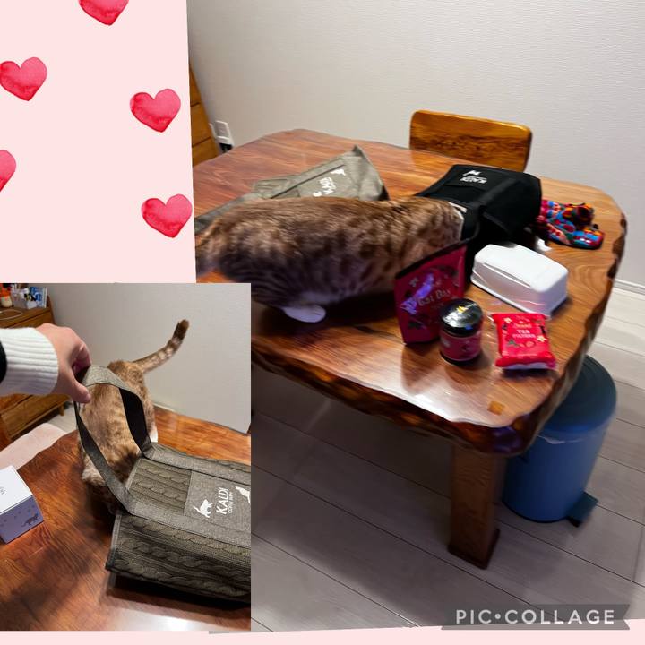 B3dff9c6 dd5d 4ba6 a892 e3a05b76285a 1708678669851