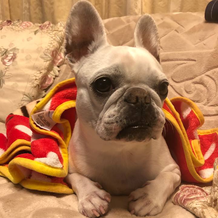 B3e01d02 14ae 4125 afee da0504c96ff6 1614941152079