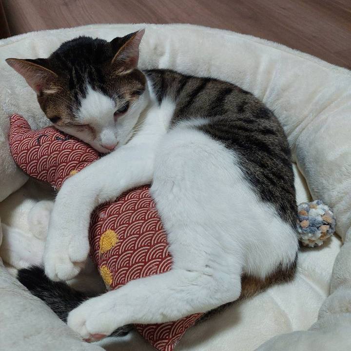 B3e075e3 f2cd 4213 aed6 3ee0e0e9ab1d 1676199255112