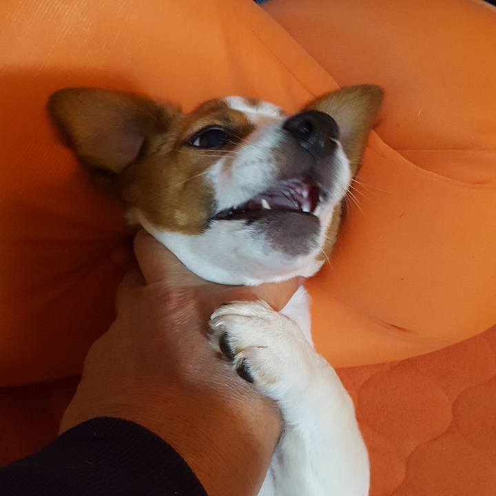 B3e0762b 027e 4006 8775 0441e80720d1 1551348895525